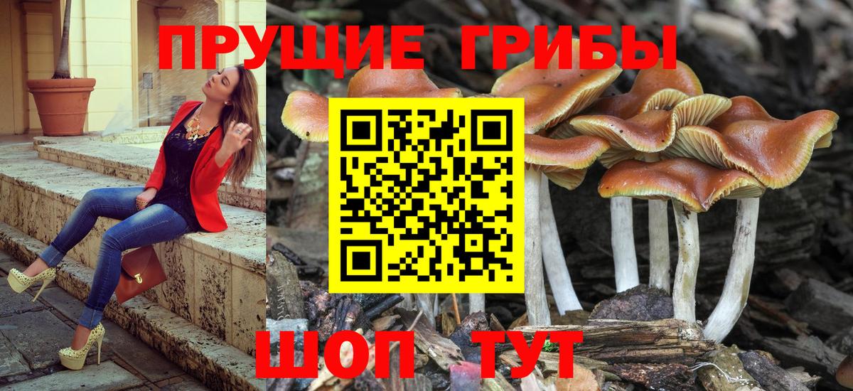 Псилоцибиновые грибы мицелий Железногорск